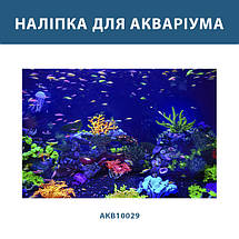 Наліпка для акваріума Неонові рифи з рибками (400х650), фото 4