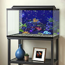 Наліпка для акваріума Неонові рифи з рибками (400х650), фото 2