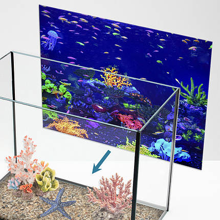 Наліпка для акваріума Неонові рифи з рибками (400х650), фото 1