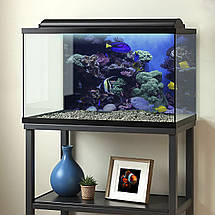 Наліпка для акваріума Морські рифи з рибками (400х650), фото 2