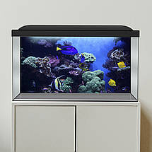 Наліпка для акваріума Морські рифи з рибками (400х650), фото 3