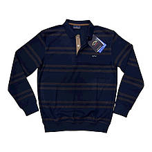 Светр чоловічий TAN - синій в смужку