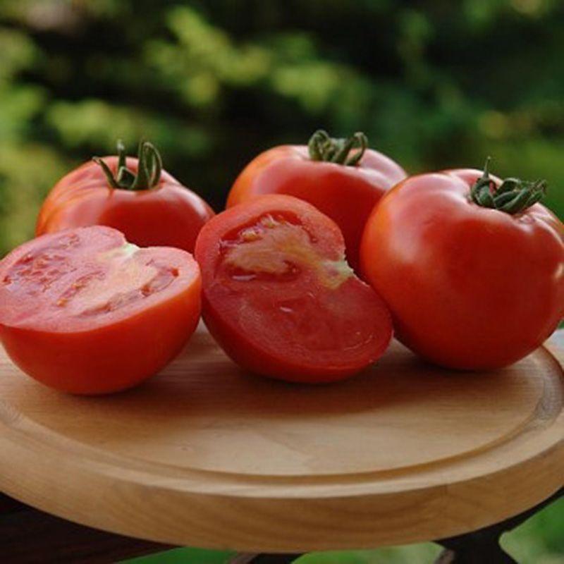 Професійне насіння томату дет. Таня F1 (Seminis) 1000 шт.