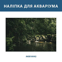 Наліпка для тераріума Ліс з камінням та водою (400х650), фото 3