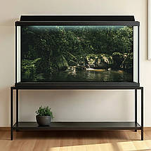 Наліпка для тераріума Ліс з камінням та водою (400х650), фото 4