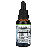 Amazing Herbs, Black Seed, на 100 % чиста олія з насіння чорного кмину холодного віджиму, 30 мл, фото 2