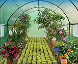 Садова теплиця 10м2 VOLSO POLSKA 400*250*200см VS 04252, фото 3