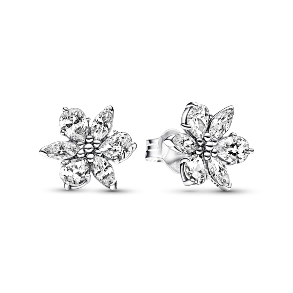 Срібні сережки Pandora «Блискучий гербарій» 292633C01, фото 1