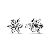 Срібні сережки Pandora «Блискучий гербарій» 292633C01