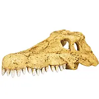 REPTI-ZOO Crocodile Skull Крокодилячий череп для тераріумів та акваріумів 11 x 6 x 4 см