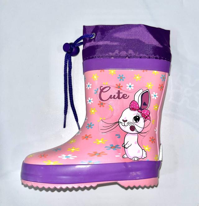 Гумові чоботи для хлопчиків, Demar (код 1243) фото