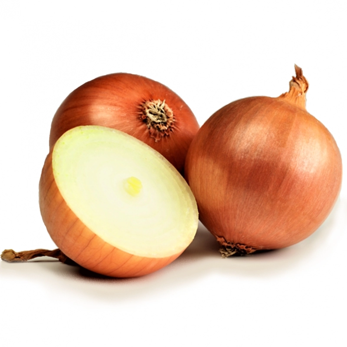 Професійне насіння цибулі ріпчастої Фундадор F1(Cora Seeds) 250 000 шт.