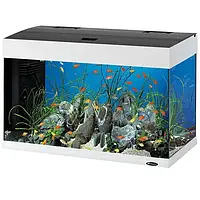 FERPLAST Dubai 80 LED Акваріум зі світлодіодним світильником та внутрішнім фільтром 125 л Білий