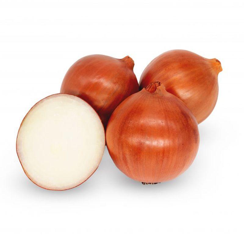 Професійне насіння цибулі ріпчастої Магіка F1 (Cora Seeds) 250 000 шт.