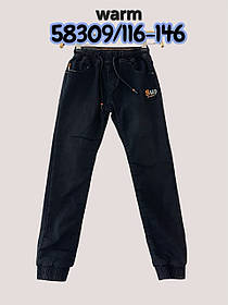 Джинси утеплені для хлопчиків оптом, Seagull, 116-146 рр., Арт. CSQ-58309