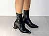 Ботильйони стрейчеві на стійкому підборі чорні, фото 5