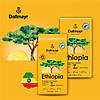 Кава Dallmayr зерно 500 г Ethiopia, фото 3
