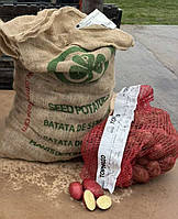 Картопля насіннєва Торнадо (1 Репродукція) 20 кг