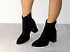 Ботильйони на стійкому підборі демісезон замшеві чорні, фото 6