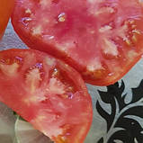 Насіння томата Виставковий 15 шт, фото 2