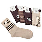 Жіночі теплі шкарпетки брендовані СН з бавовн зимові комфортні для носіння, набір 10 пар/уп, мікс, фото 3