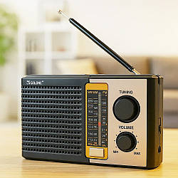 Акумуляторний радіоприймач, USB/SD/MP3/FM, Golon RX F10 / Портативне радіо / FM радіо акумуляторне
