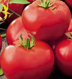 Насіння томату Кінг-Конг (King Kong) 15 шт, фото 2