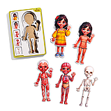 Пазл-сортер дерев'яний 5-ти шаровий Анатомія людини, Дівчинка, фото 4