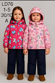 Комбінезон для дівчинки на флісі оптом (куртка +комбінезон), S&D, 1-5 років, арт. LD-76