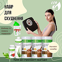 Програма для похудіння "Струнка фігура" Гербалайф протеїнові коктейлі жироспалювач засоби бади детокс + Шейкер і ложка в подарунок