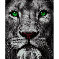 Картина за номерами набір для малювання акриловими фарбами на полотні Artissimo 50 x 40 см