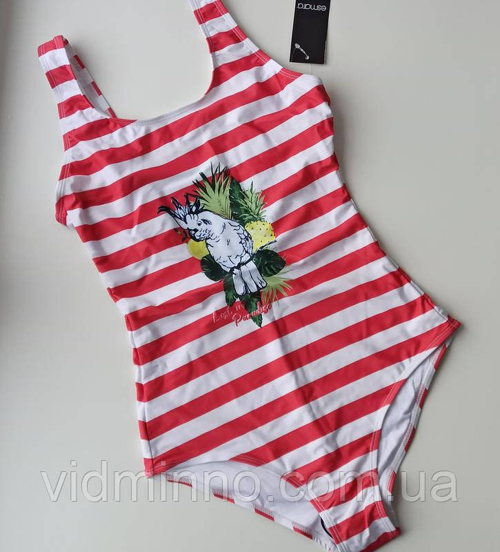 Жіночий спортивний суцільний купальник Esmara р.36 EURO (р.S, 42), без чашки, папуга, фото 1