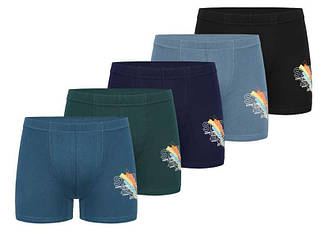 Труси боксери для хлопчика.Doni (розмір 12/13)