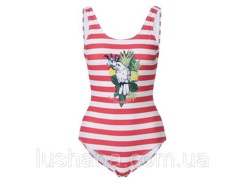 Жіночий суцільний купальник Esmara р.36 EURO (S), наш 42, фото 1