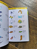 1000 ukrajinských slovíček. Ілюстрований словник, фото 2