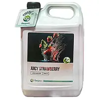 Мило рідке Bergreen Juicy Strawberry 5л