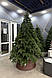 Штучна лита ялинка Делюкс 1.8м зелена Eler оригінал, фото 6