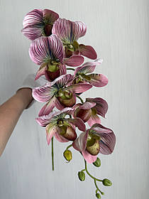Штучна гілка орхідеї Паффіопеділум (черевичок Венери, 95 см , латекс