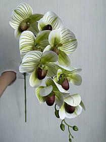 Штучна гілка орхідеї Паффіопеділум (черевичок Венери)