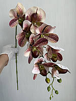 Штучна гілка орхідеї Паффіопеділум (черевичок Венери), фото 8