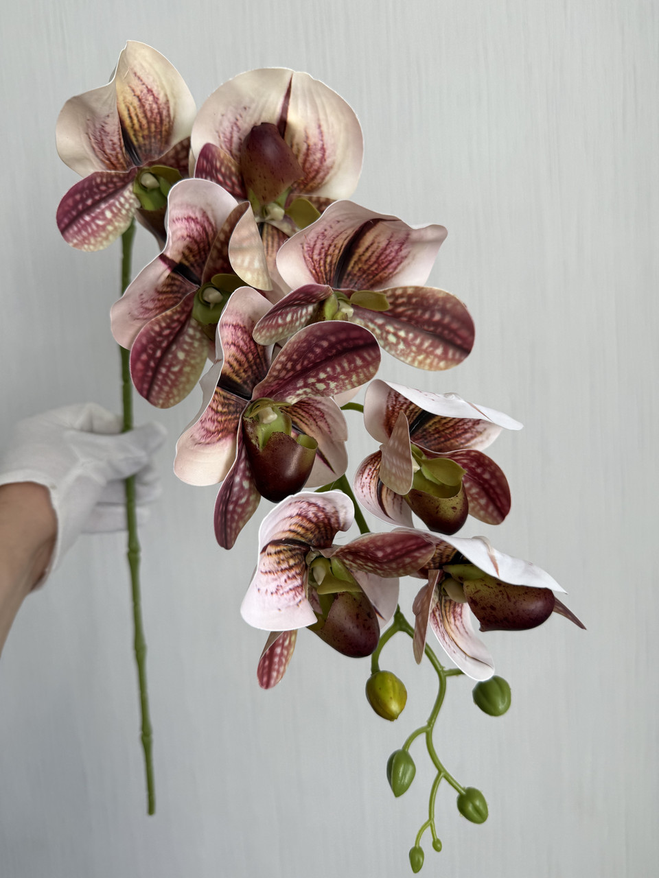 Штучна гілка орхідеї Паффіопеділум (черевичок Венери), фото 1
