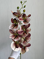 Штучна гілка орхідеї Паффіопеділум (черевичок Венери), фото 3