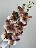 Штучна гілка орхідеї Паффіопеділум (черевичок Венери), фото 7