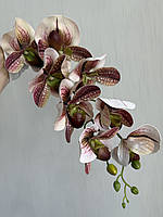 Штучна гілка орхідеї Паффіопеділум (черевичок Венери), фото 6