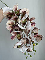 Штучна гілка орхідеї Паффіопеділум (черевичок Венери), фото 10