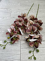 Штучна гілка орхідеї Паффіопеділум (черевичок Венери), фото 5