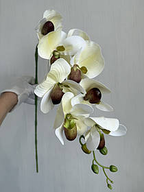 Штучна гілка орхідеї Паффіопеділум (черевичок Венери)