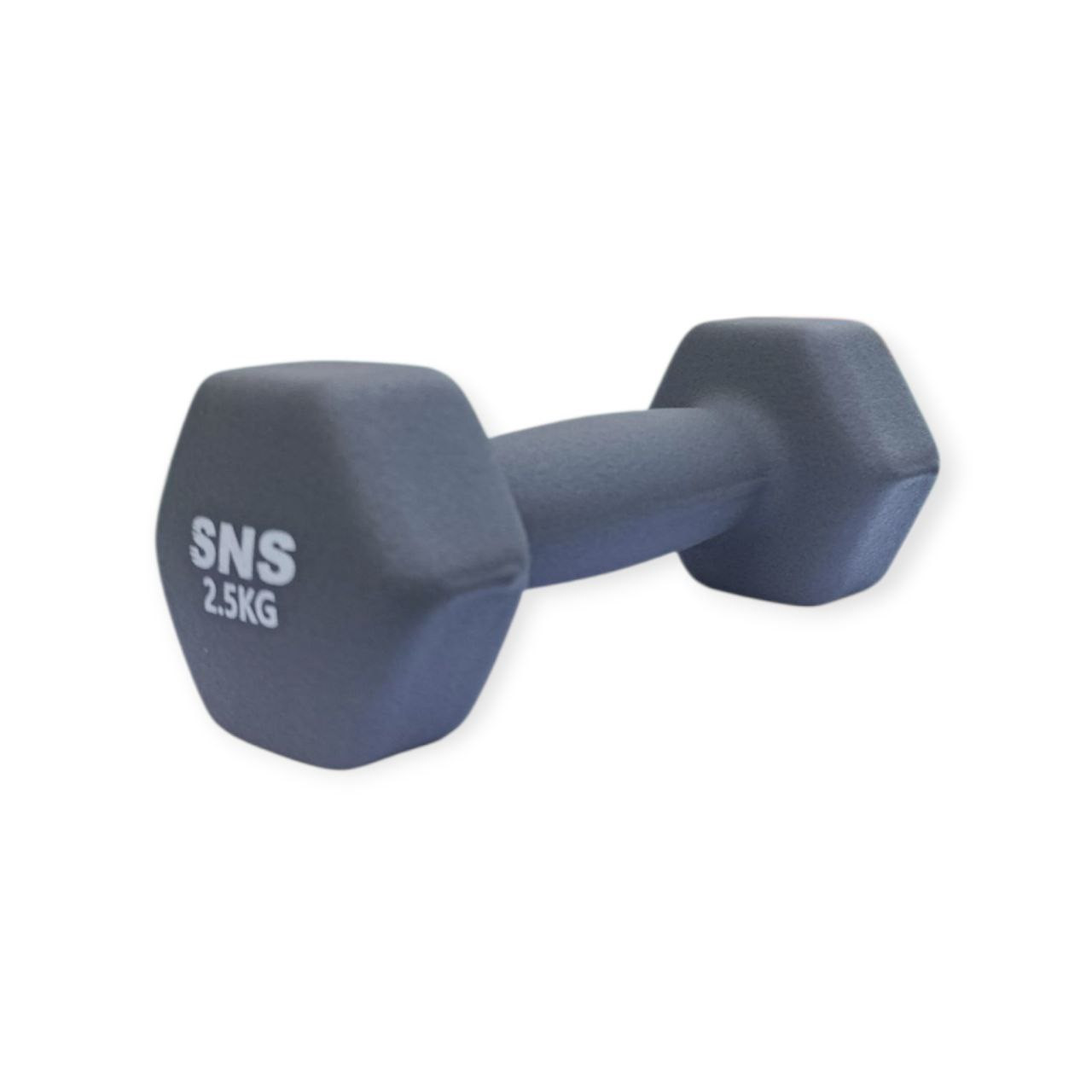 Гантель вінілова МАТОВА SNS 2,5 кг сіра, фото 1