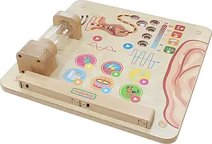 Освітня дошка Masterkidz Відчуття слуху