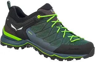 Спортивне взуття Salewa MS MTN TRAINER LITE GTX зелений 5945/Myrtle/Ombre Blue
